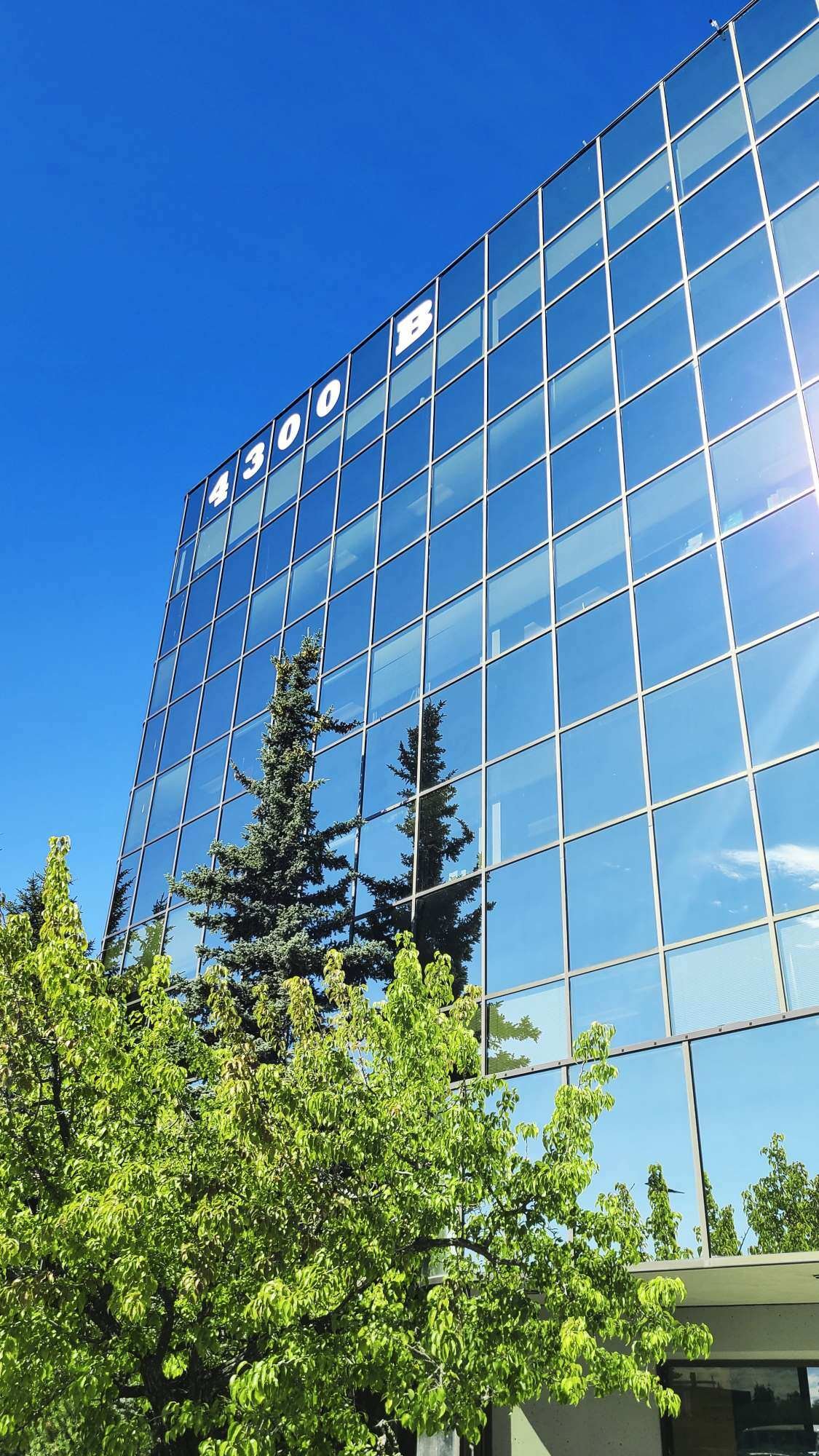 The Alaska Energy Building and Apple Tree