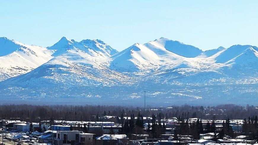 20260327_112230 copy_website_2 20260327_112230 copy_website_2